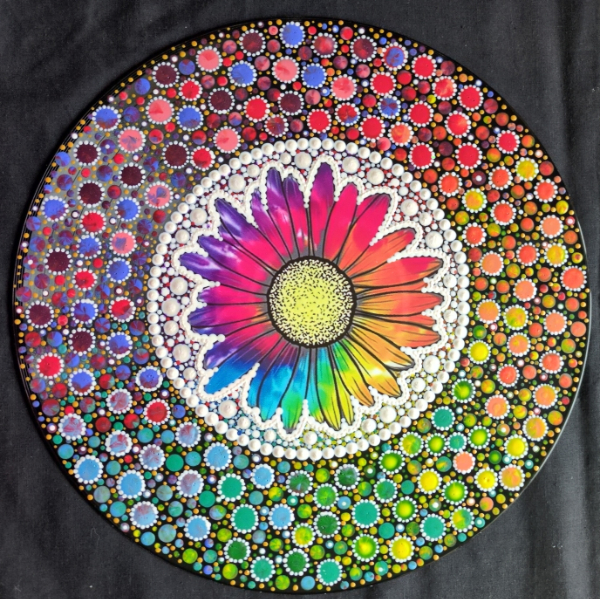 Rainbow Daisy