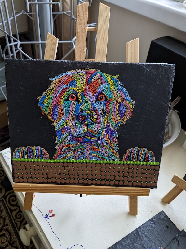 Labrador