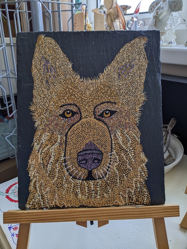 Storm Alsatian
