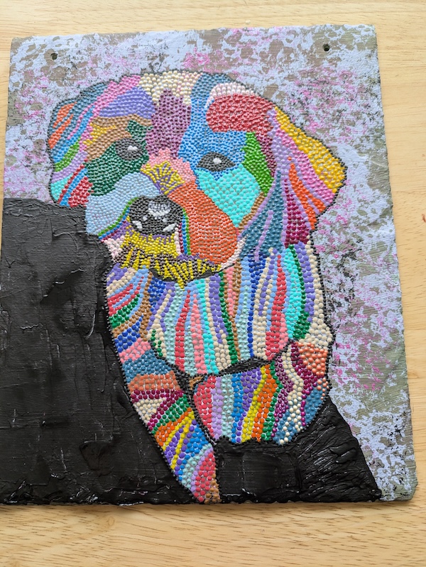 Yorkie Tzu